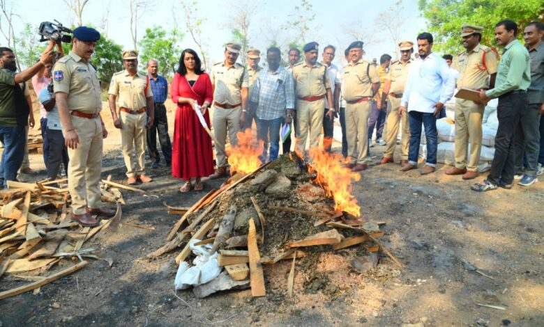 IMG_20240427_101144-780x470