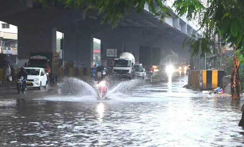RAIN-9