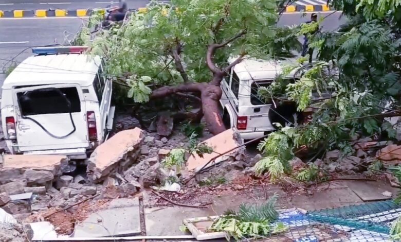 20240820_114123-780x470