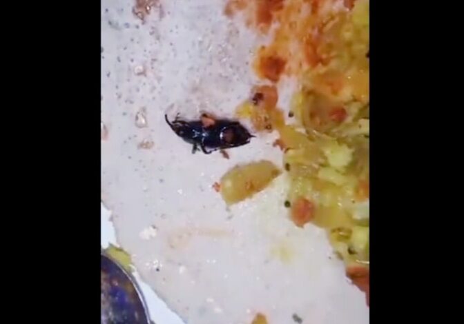 20240823_164439-672x470