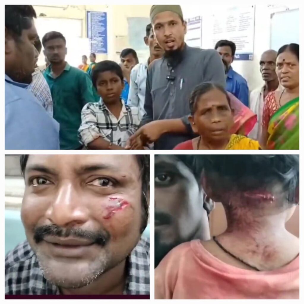 IMG-20240821-WA0018-1024x1024