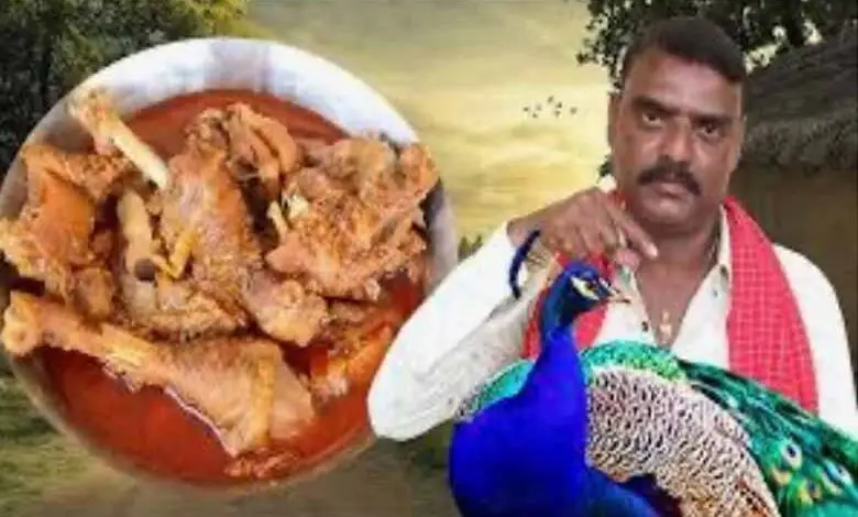 PEACOCK-CURRY-780x470