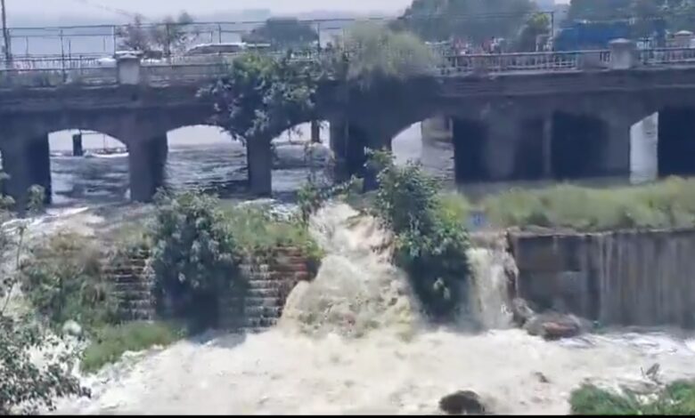 Screenshot_20240820-193741_X-780x470