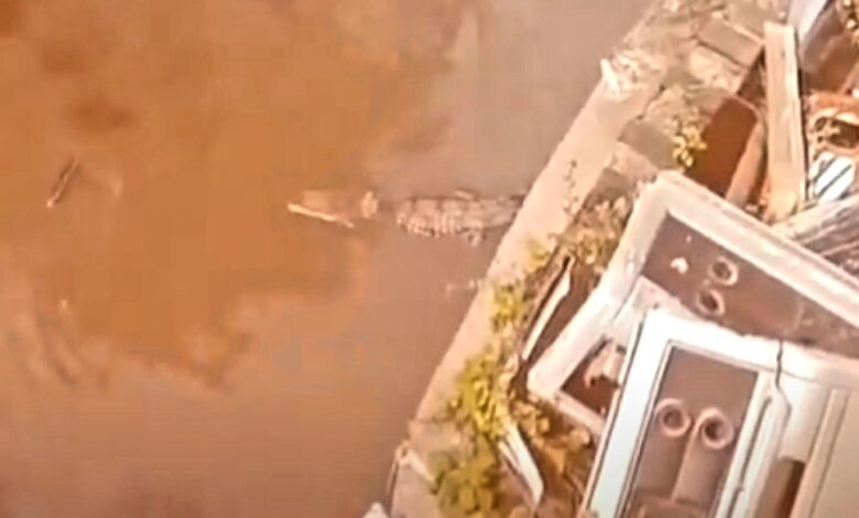 Screenshot_20240925-223713_X-780x470