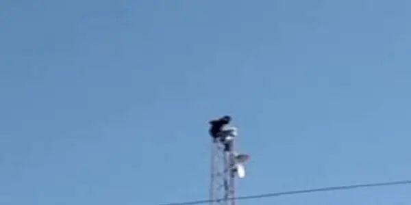 n6500168981738333749270a470bf11d3dedd4b605da97b5bc95905dd2737ee106dffee01ad3a87a81ea757