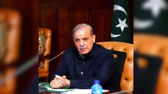 Shabaz-Shareef-11-536x300