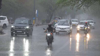 RAIN-4-390x220