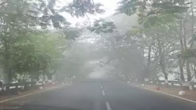 cold