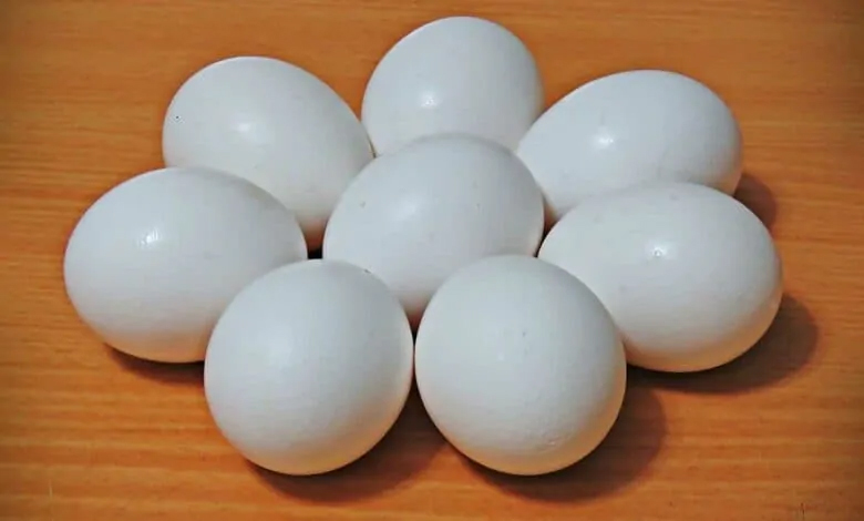 Representational-image-3-1