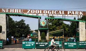 nehru-zoological