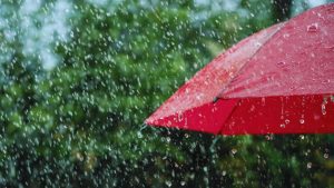 rain-16-1536x864