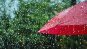 rain-16